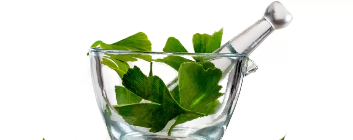 ginkgo biloba beneficii proprietati contraindicatii