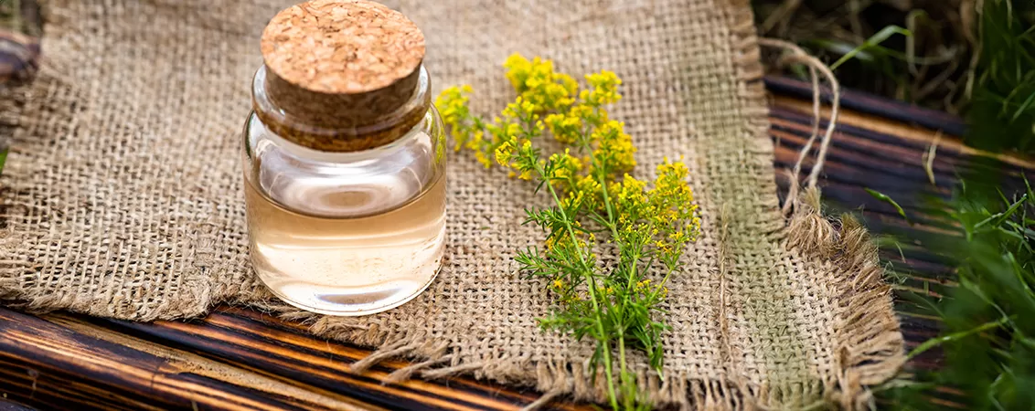 sanziene beneficii utilizari contraindicatii