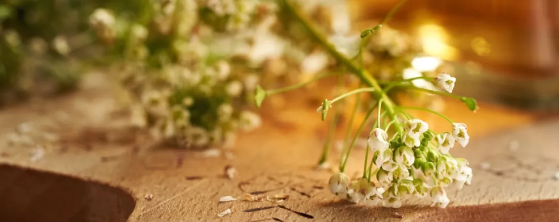 Traista ciobanului pe o masa, cu o sticla de tinctura in fundal