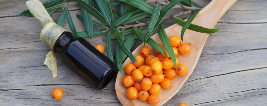 ulei de catina beneficii proprietati utilizari