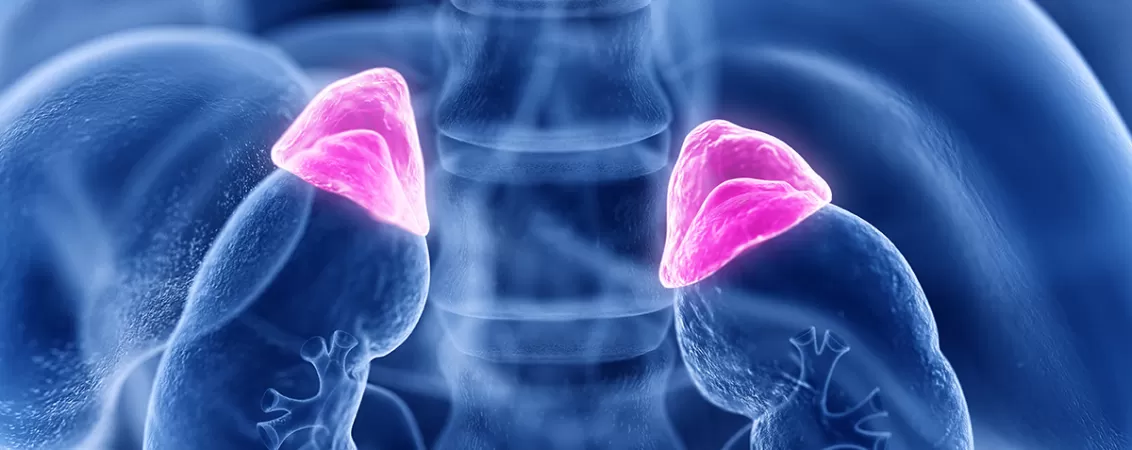 Cauzele, simptomele si tratamentul bolii addison