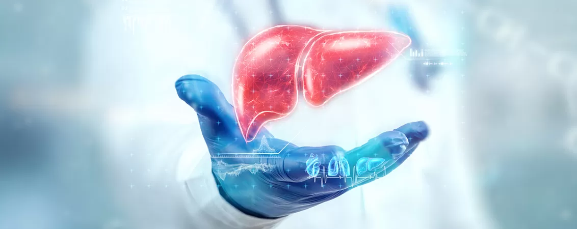 Medic analizand o holograma a unui model anatomic al ficatului