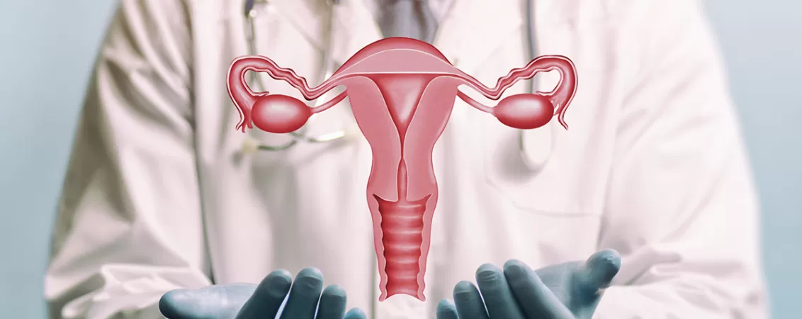 Doctor in halat alb aratand spre o reprezentare grafica a sistemului reproducator feminin