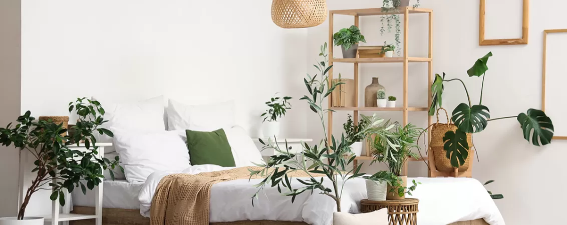 Dormitor cu plante ornamentale