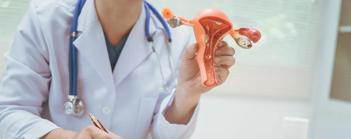 Medic discutand cu pacientul in cabinet pe baza unui model anatomic al sistemului reproducator feminin