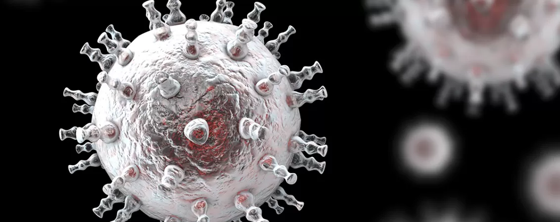 Reprezentare grafica a virusului sarcomului Kaposi, din familia herpesvirusurilor