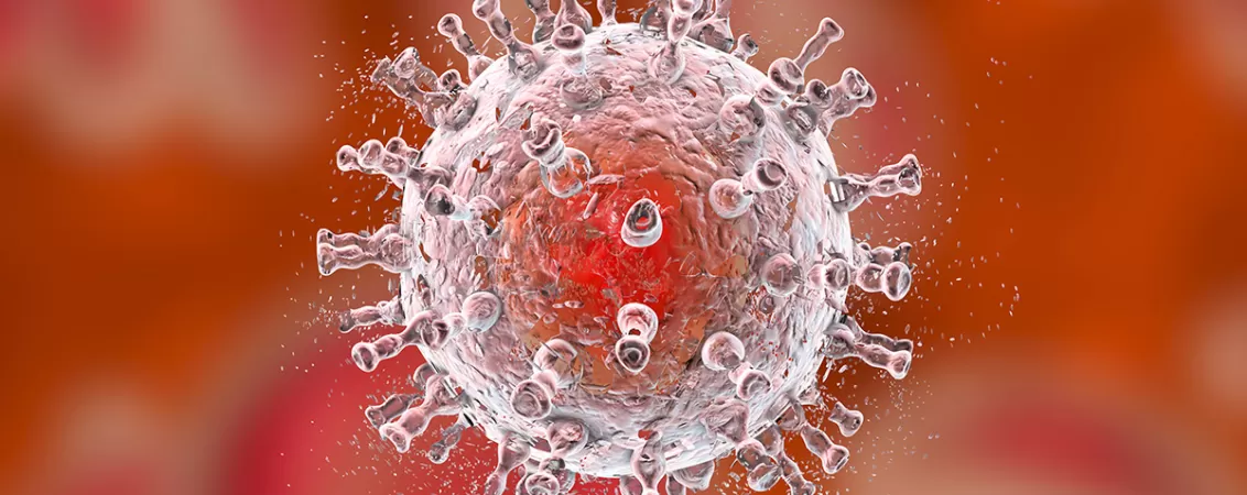 Reprezentare grafica pentru distrugerea virusului care provoaca sarcomul kaposi