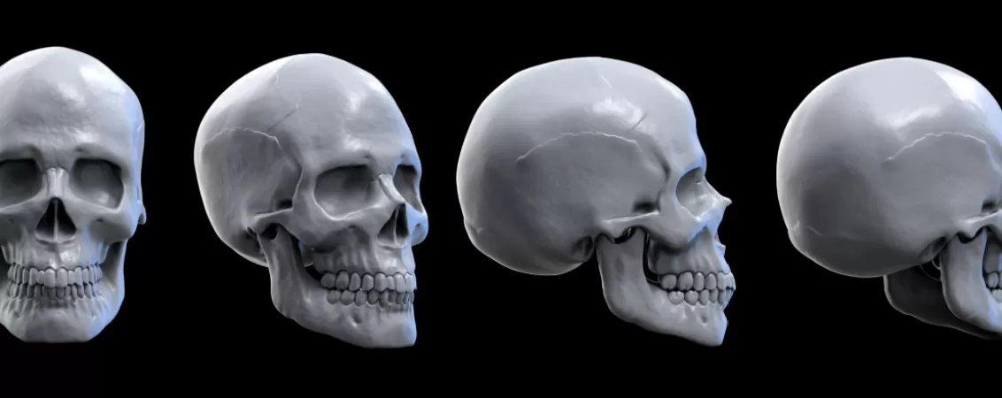 Craniu uman in ilustratie 3D pe fundal intunecat, utilizat in context medical si educativ