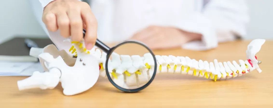 Medic care explica anatomia coloanei vertebrale folosind un model anatomic spinal