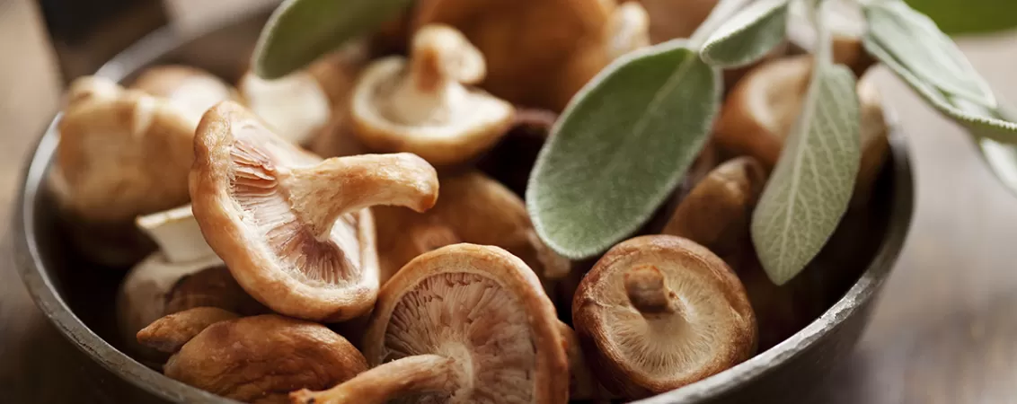 Ciuperci shittake, o sursa de vitamina B12, intr-un bol pe masa.