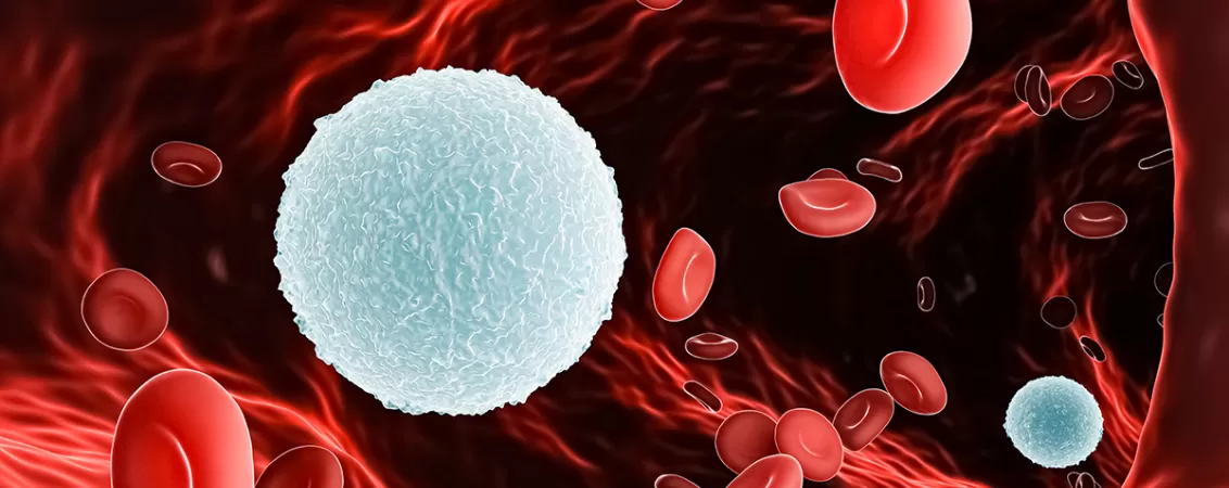 Ilustratie 3D a limfocitelor, o componenta importanta a sistemului imunitar, si a globulelor rosii in sange