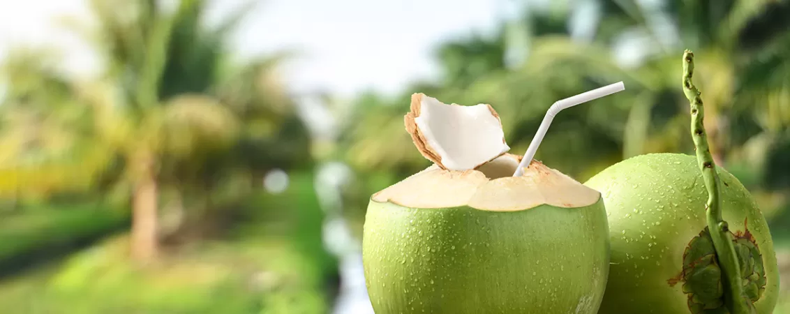 Apa bauta din nuca de cocos