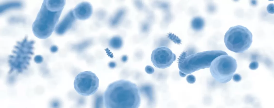 Concept medical 3d cu bacterii ale microbiomului in corpul uman evidentiati in albastru