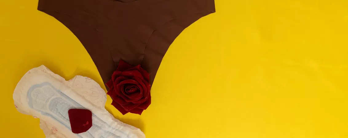 Lenjerie intima maro pe care este asezata o trandafir rosu