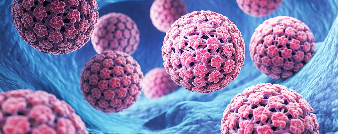 Reprezentarea grafica a infectiei cu virusul hpv