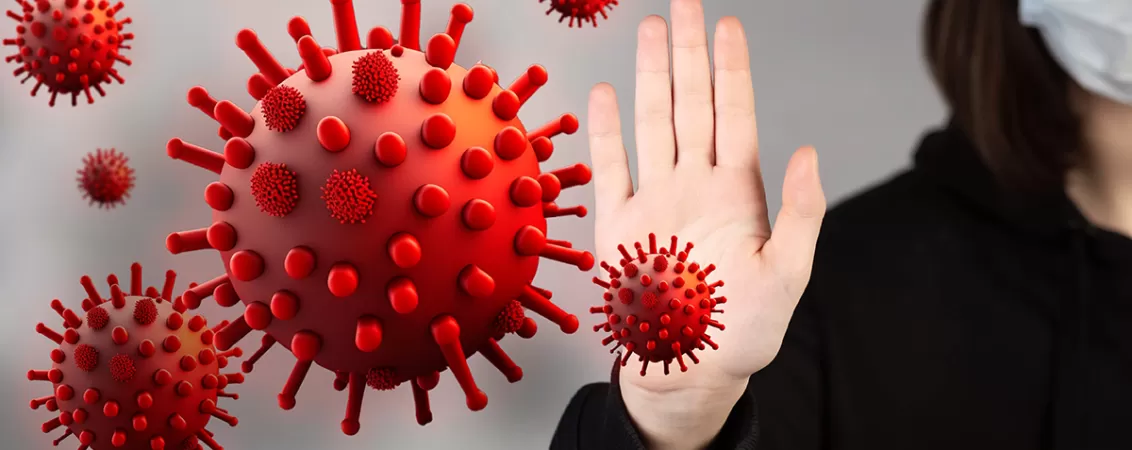 Ilustratie a virusurilor rujeolei (morbillivirus) cunoscute si sub denumirea de morbili