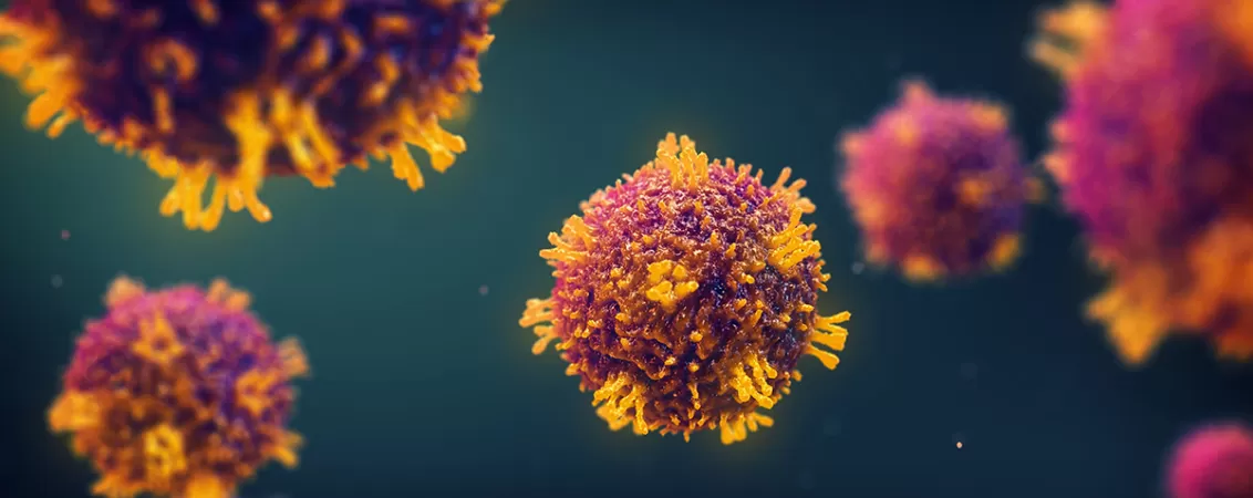 Reprezentare a virusului ce cauzeaza rujeola