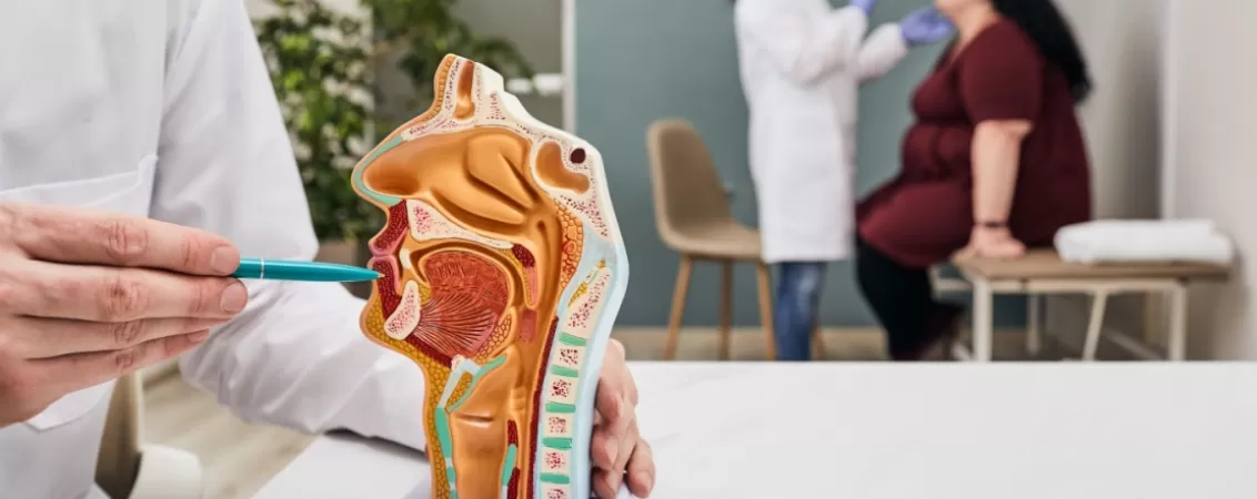 Control ORL, cu model anatomic in prim plan si medic si pacient in fundal