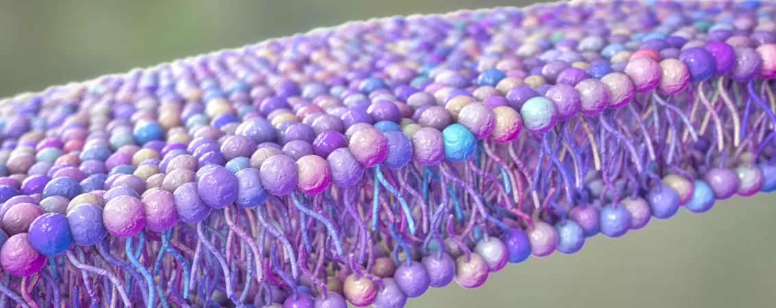 Ilustratie stiintifica 3d a membranei celulare cu bilayer de fosfolipide