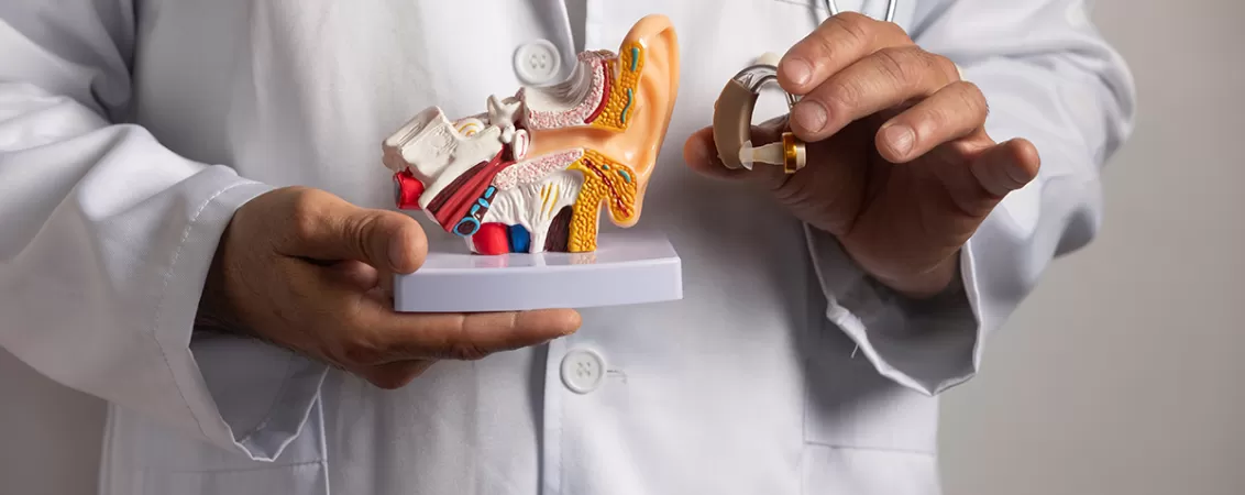 Medic care arata un model anatomic al urechii interne, explicand structura si functionarea acesteia