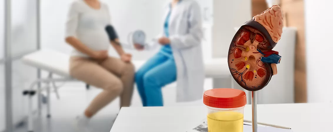 Mulaj rinichi, urocultor cu urina, medic masoara tensiunea arteriala a unei gravide