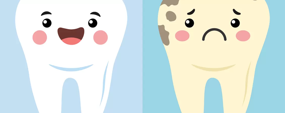 Ilustratie vector cu dinte curat si fericit si dinte cariat si trist, reprezentand periajul dentar corect