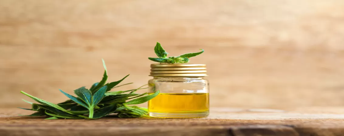 Ulei de canabis cbd beneficii proprietati contraindicatii