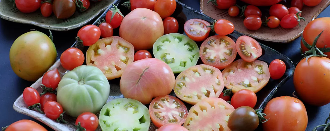 Colectie de rosii proaspete, populare si accesibile, asezate pe diverse platouri, prezentand textura, culoarea si prospetimea lor pentru uz culinar sau comercial.