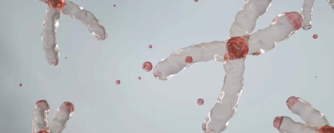 Structura unui cromozom