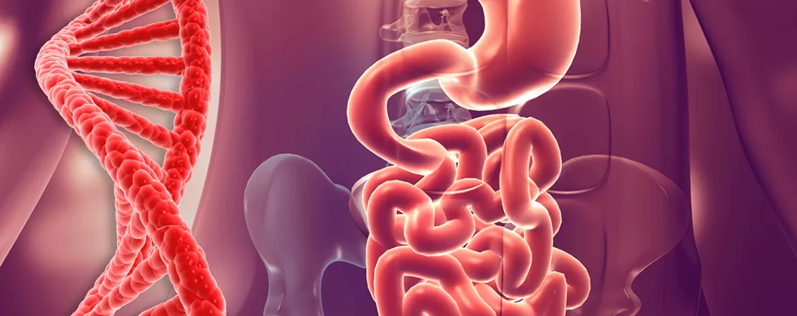 Anatomia sistemului digestiv uman cu o spirala de ADN langa.