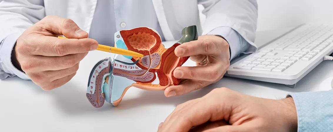 Medic explicand unui pacient procedura de implantare de spacer rectal