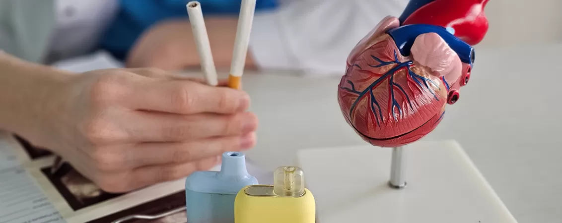 Tigari electronice si clasice si model anatomic al inimii in fata unui medic, imagine ilustrativa pentru riscul cardiovascular asociat vapatului