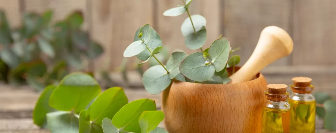 Sticluta cu ulei de eucalipt, langa o legatura de frunze uscate de eucalipt