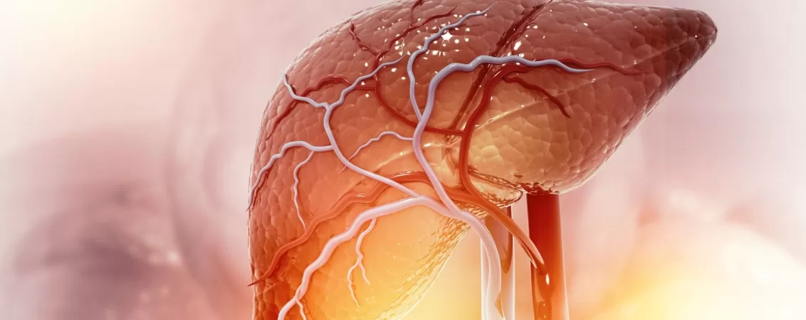Ilustratie 3D a anatomiei ficatului uman cu structura detaliata a organului medical.