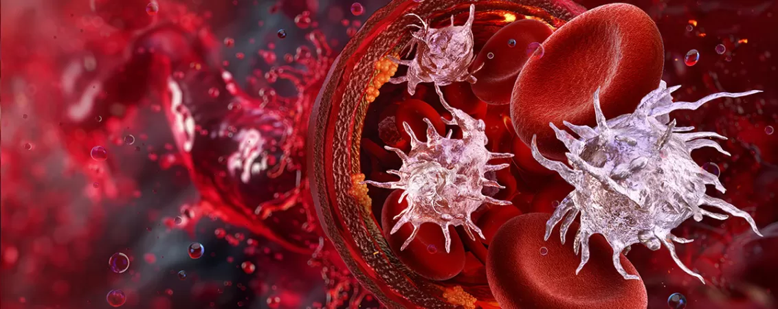 Ilustratie medicala a trombocitelor (plachetelor sangvine), reprezentand celule mici din sange responsabile de coagulare si oprirea sangerarilor in organism.