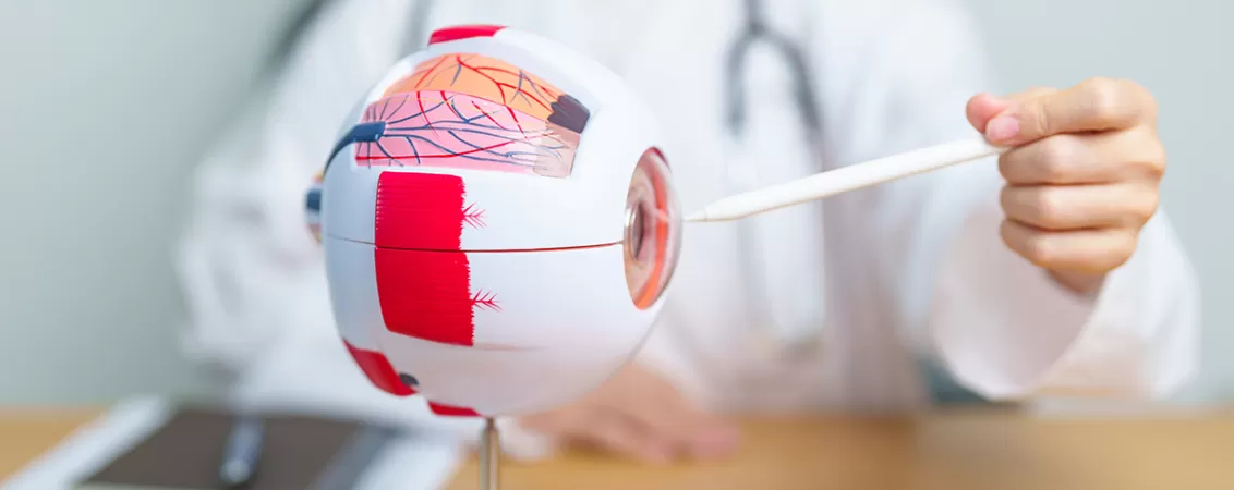 Medic examinand un model anatomic al ochiului uman cu ajutorul unei lupe, ilustrand structura ochiului si evaluarea medicala in cadrul consultatiilor oftalmologice.