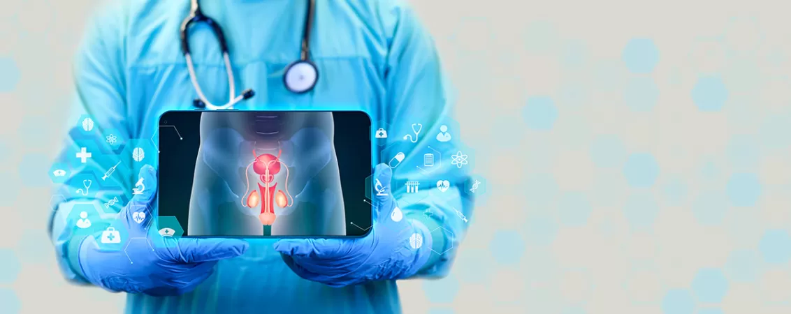 Medic tinand o radiografie digitala a organelor sexuale masculine