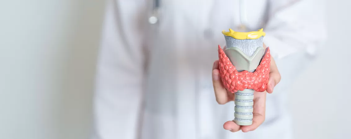 Model al glandei tiroide