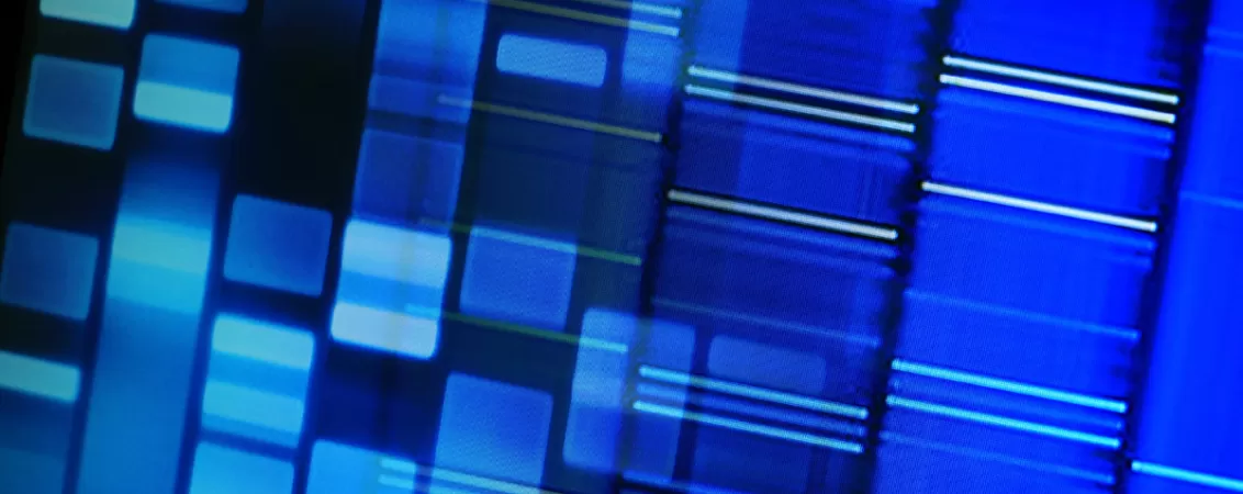 Informatie genetica