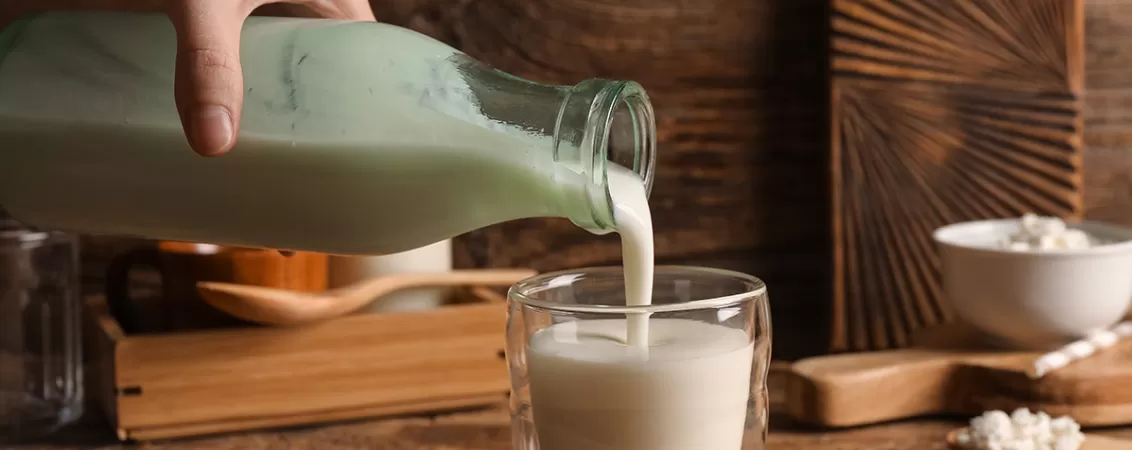 Lactate fermentate, ca surse de vitamina K2.