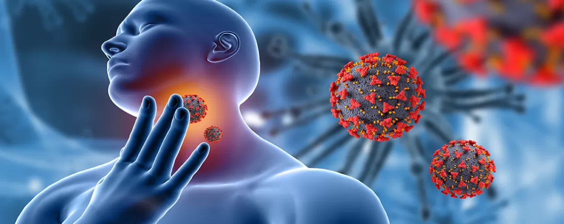 Ilustratie medicala care evidentiaza structura gatului si a cailor respiratorii superioare