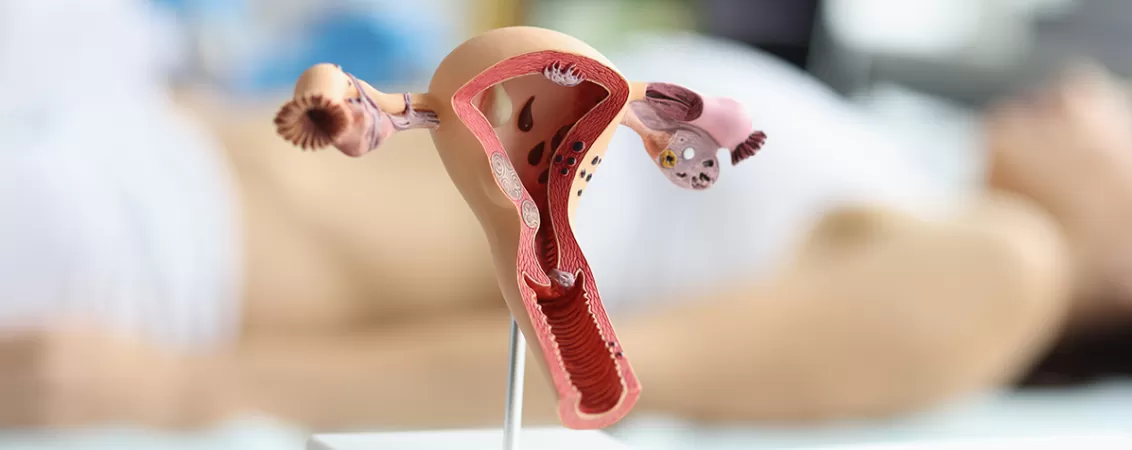 Medic ginecolog efectueaza o ecografie pentru evaluarea aparatului reproducator feminin