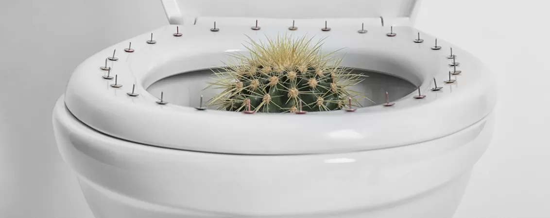 Vas de toaleta si cactus folosite pentru ilustrarea durerii provocate de hemoroizi
