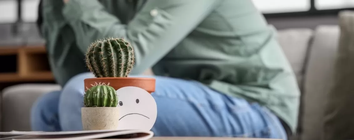 Cactus si simbol trist ilustreaza disconfortul si durerea provocate de hemoroizi