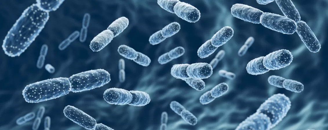 Ilustratie 3D cu bacterii probiotice Lactobacillus pentru sanatatea intestinala