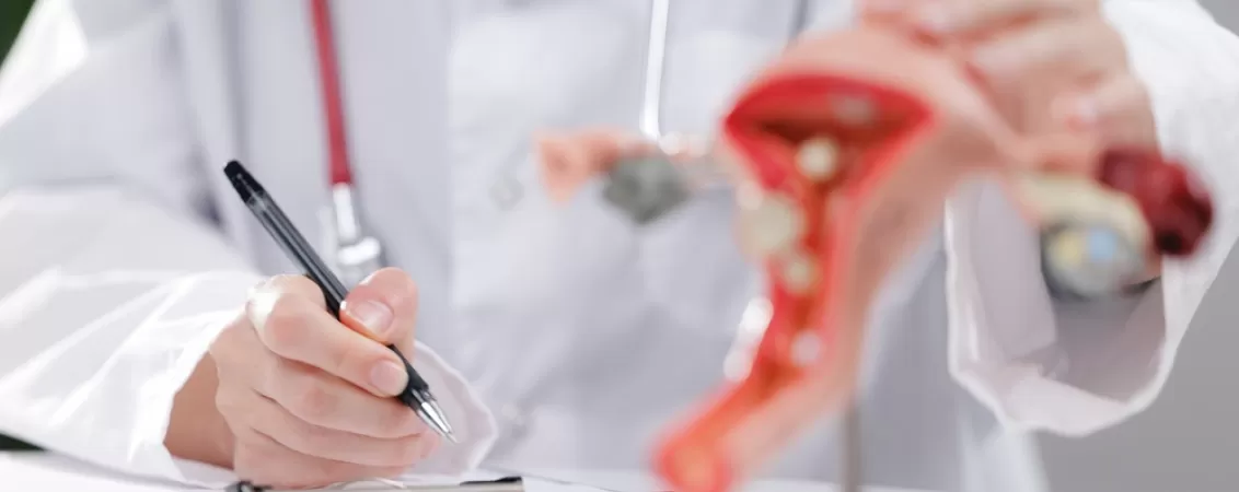 Medic ginecolog explica anatomia uterului folosind un model anatomic in cabinet