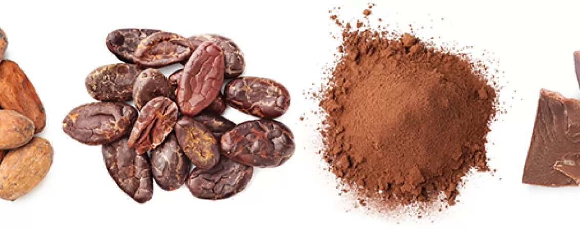 Bucăți de ciocolată neagră și boabe de cacao