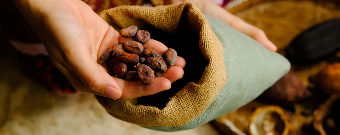 Femeie care tine in palme boabe de cacao
