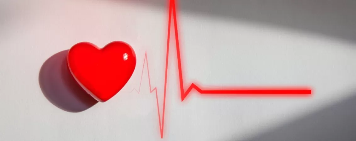 Inima rosie cu linie de ritm cardiac in ilustratie medicala