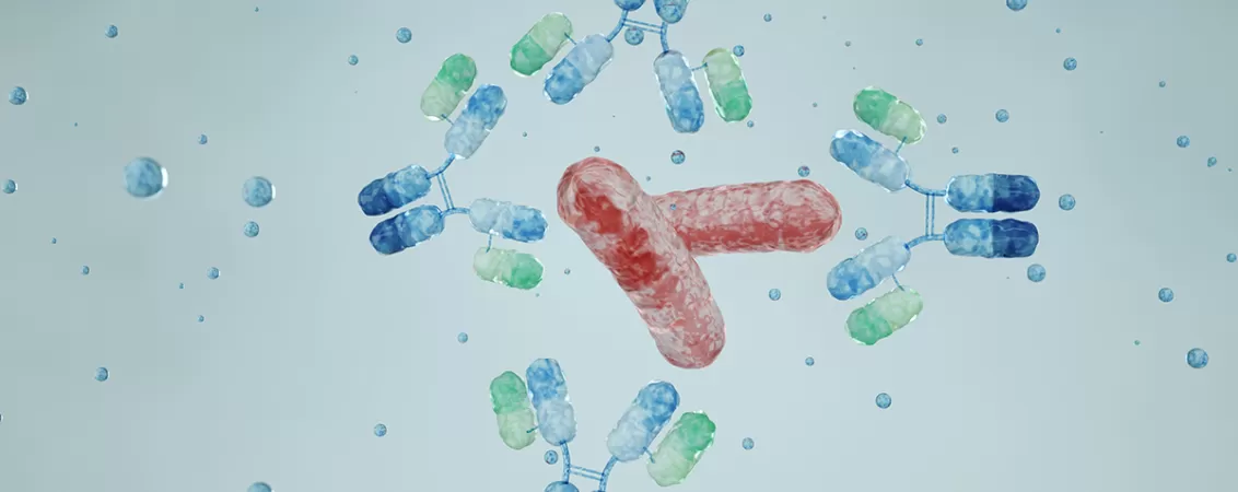 Reprezentare grafica a anticorpilor monoclonali utilizati in terapiile moderne biologice